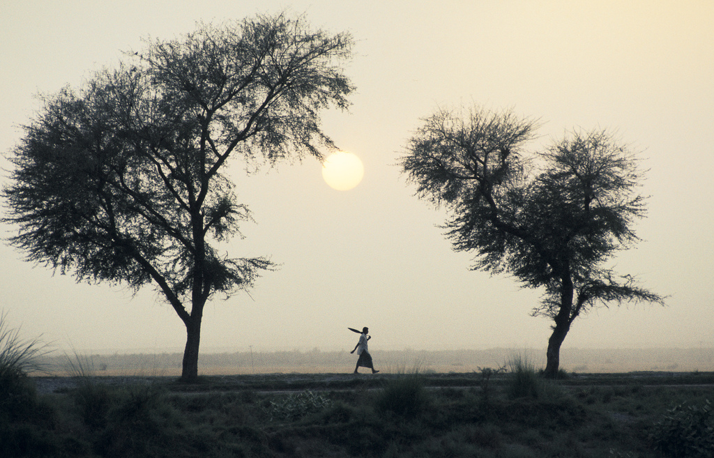 Mies kävelee Pakistanissa pellon laidalla.