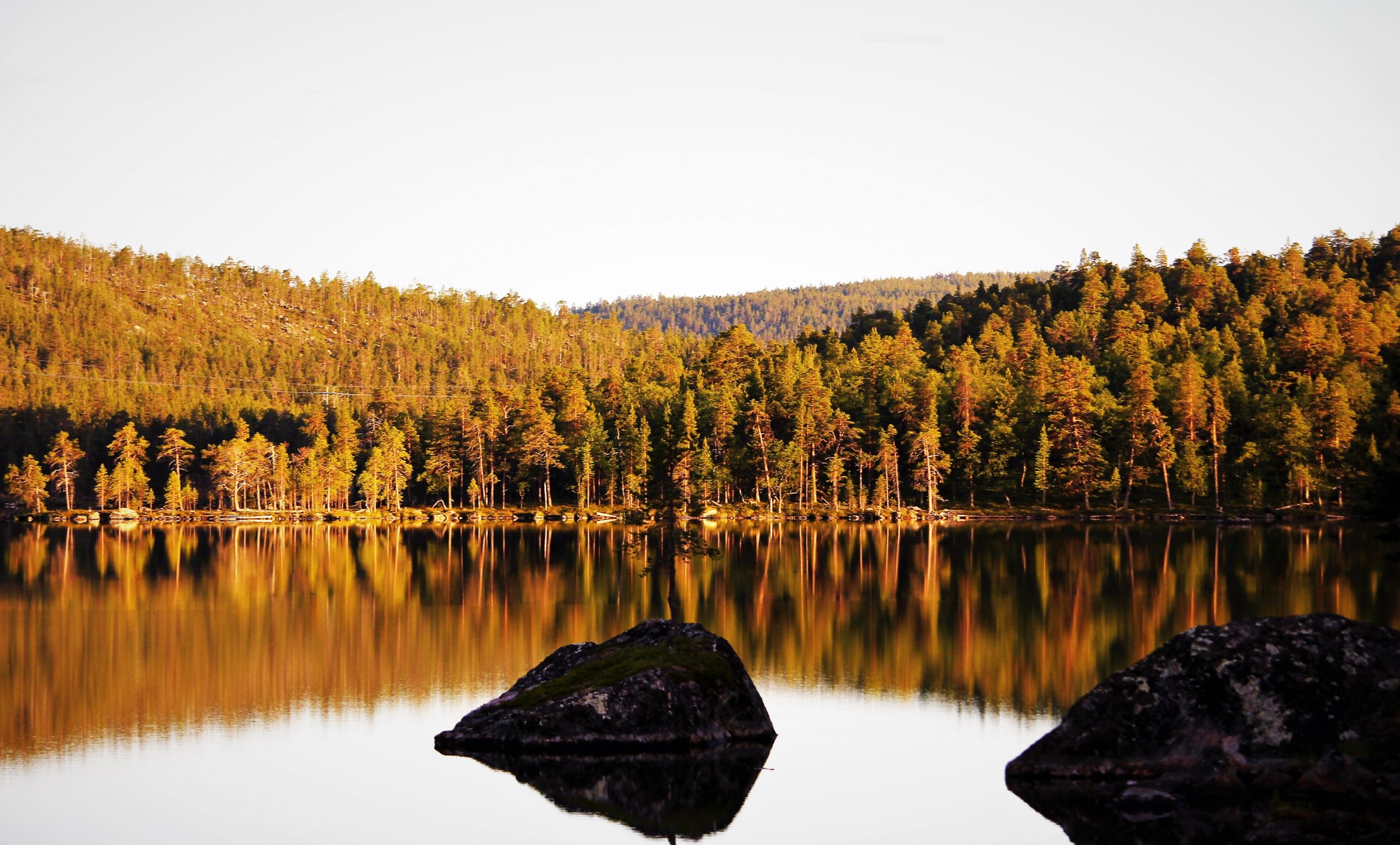 syksyinen metsä heijastuu järveen