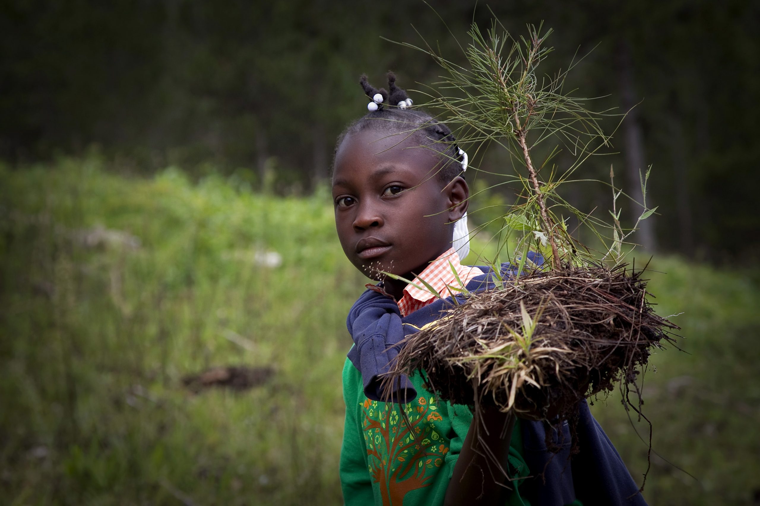 Haitian Student carrying a pine seedling.