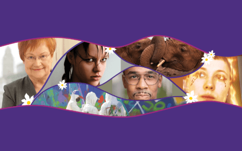 Full programme now released