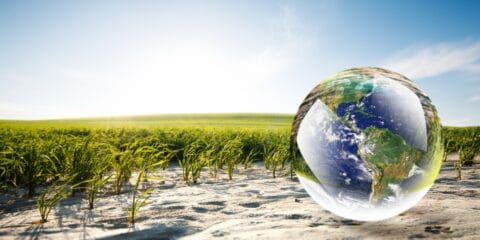 Fingon Globaalin sivistyksen edelläkävijät -hanke käynnistyy elokuussa – ”Tarvitsemme globaalia sivistystä”