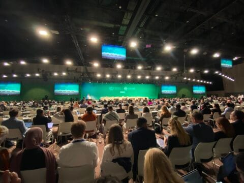 Vahvemmat rahoituskirjaukset edellytys onnistumiselle Dubain ilmastokokouksen loppumetreillä 