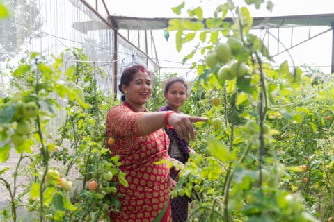 245 000 syrjityn henkilön mahdollisuudet oman elinkeinon, elämän ja oikeuksien kohentamiseksi paranivat