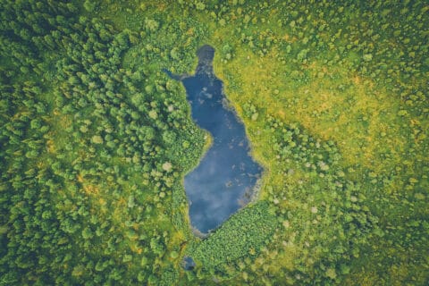 ”Suomi voi olla kärkijoukoissa edistämässä demokraattisempaa veropolitiikkaa” – Fingon tänään julkaisemassa raportissa 22 suositusta Suomelle