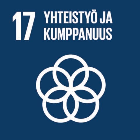Fingon asiantuntijanäkemykset koskien Valtioneuvostonselontekoa YK:n kestävän kehityksen toimintaohjelma Agenda2030:n toimeenpanosta