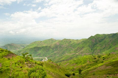Ihmiset perustivat lähes tuhat pienyritystä Fidan ja sen kumppanien tukemana