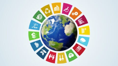 Kestävän kehityksen toimikunnan uusi strategia kirittää Suomea kestävän kehityksen tiellä