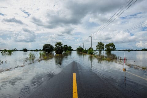 Totuuden hetki taistelussa ilmastonmuutosta vastaan – Kutsu COP28 ilmastohuippukokousta käsittelevään mediatilaisuuteen 
