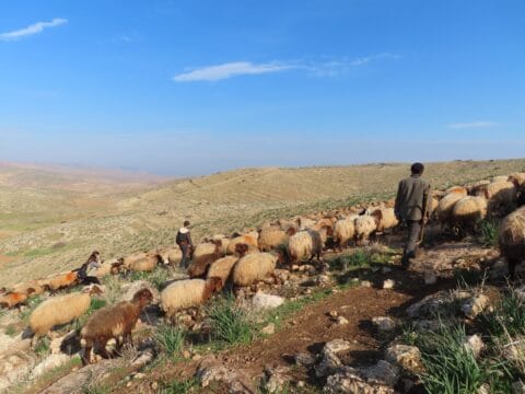 Maailmanpolitiikka iskee vasten kasvoja Länsirannalla 