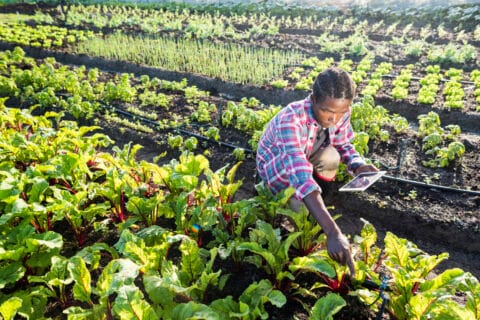 Fingo Powerbank tuo järjestöt ja teknologiset ratkaisut yhteen