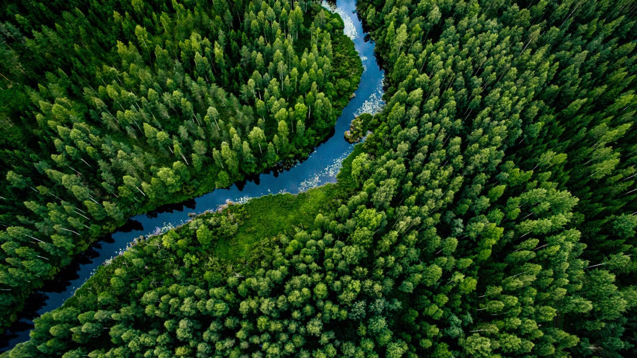 Joki kulkemassa metsän läpi.|||