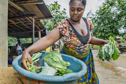 Tukea tuottajille, kriisikestävyyttä ja käteisavustuksia – näin järjestöt parantavat kehittyvien maiden ruokaturvaa 