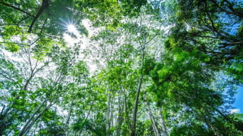 Hallitus otti budjettiriihessä tärkeitä askelia kansainvälisen ilmastorahoituksen kehittämiseksi